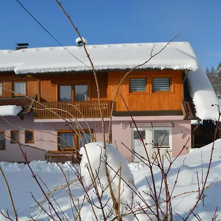 In Pressegger Mit Eigenem Garten Und Carport